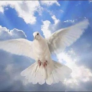 Meet your Posher, Carmen